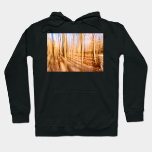 Blurred Forest Hoodie